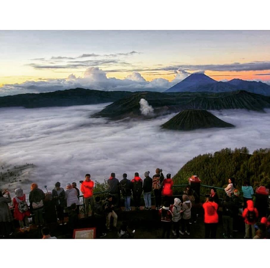 Bromo Backpacker Tosari Apartman Pasuruan Kültér fotó